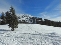 X2019-01-14 1048 Mt. Ashland from shelter area.jpg